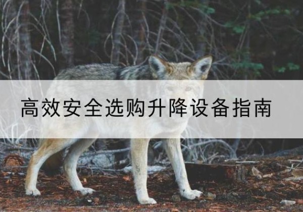 铁东升降货梯厂家推荐-*安全选购升降设备指南