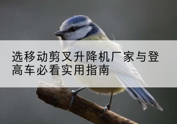 铁东电动升降机厂家-选移动剪叉升降机厂家与登高车必看实用指南