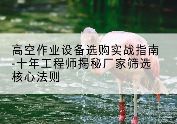 铁东剪叉式升降机厂家-高空作业设备选购实战指南-十年工程师揭秘厂家筛选核心法则